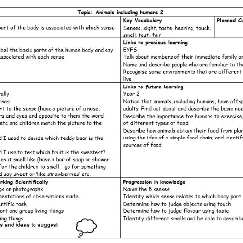 Year1Science3