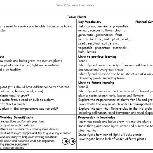 Year2Science3