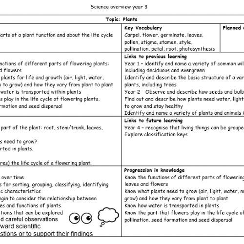 Year3Science1