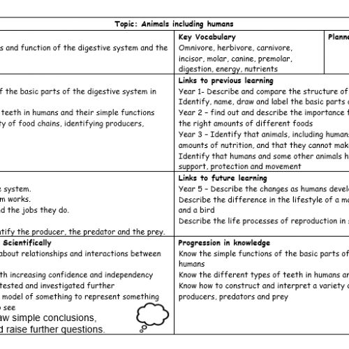 Year4Science2