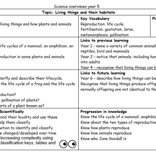 Year5Science1