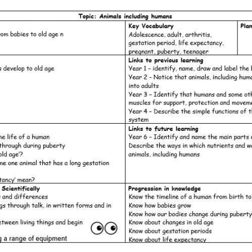 Year5Science2