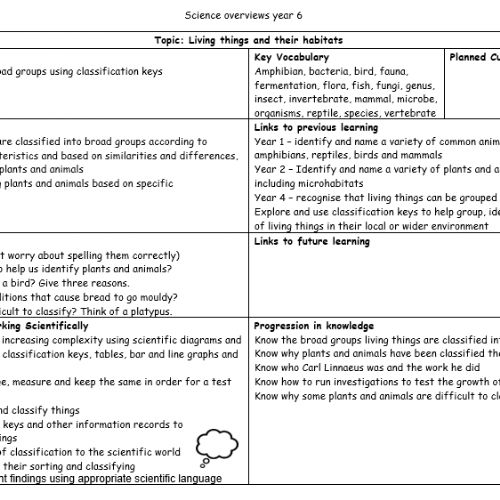 Year6Science1