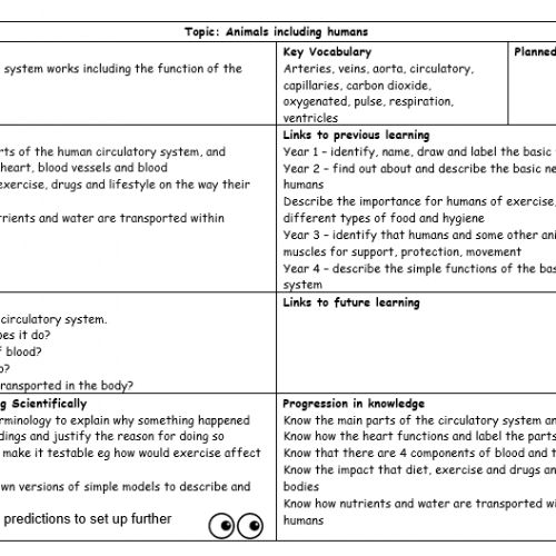 Year6Science2